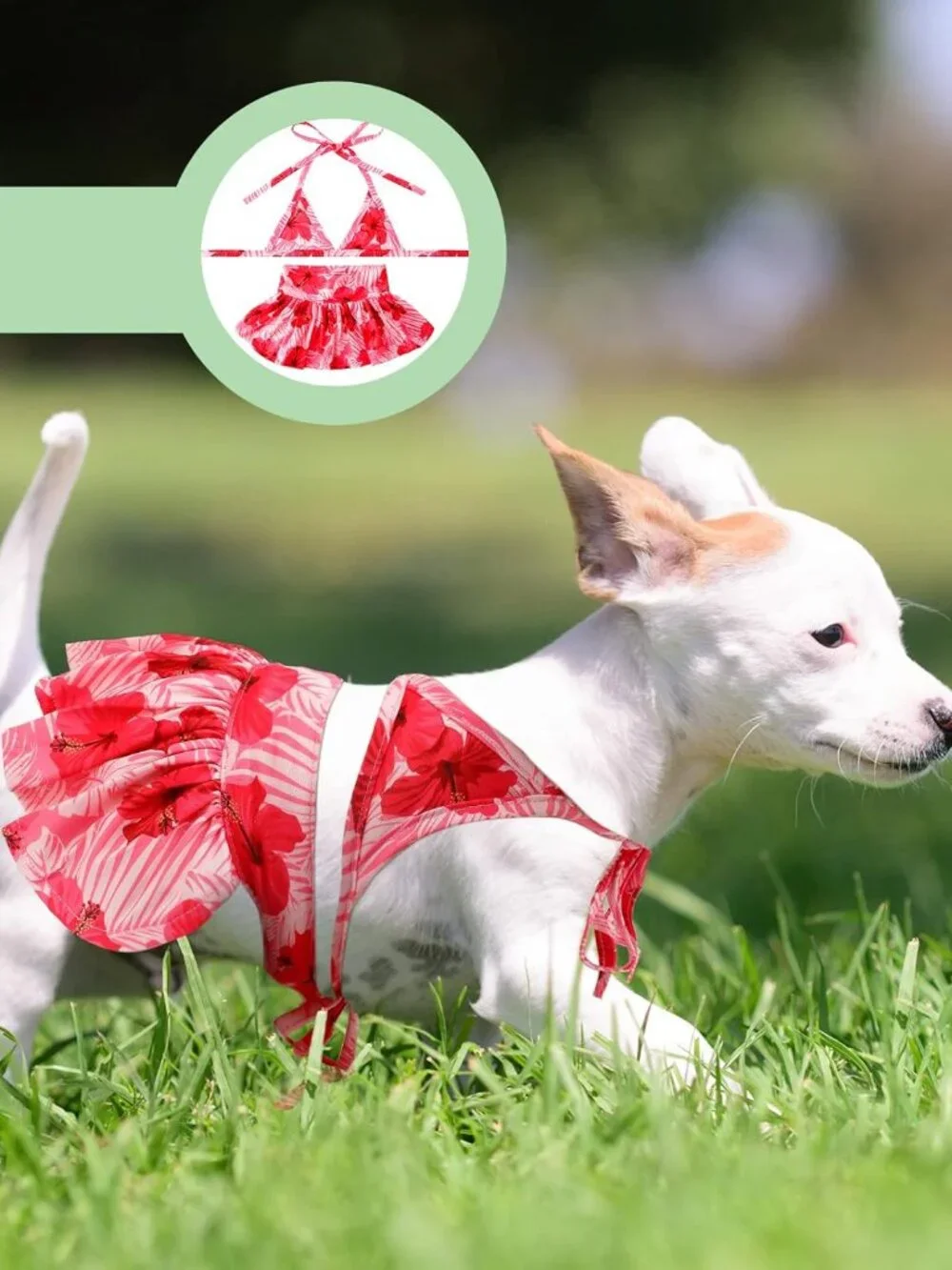 Amylove 4 Pack Small Dog Bikini Summer Bathing Suits for Puppy Doggies Swimsuit
